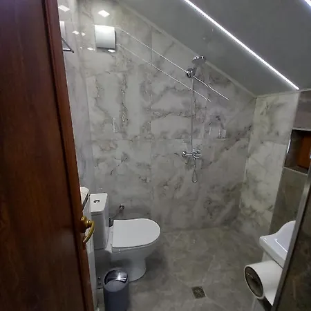 елеганс Πανσιόν 3*