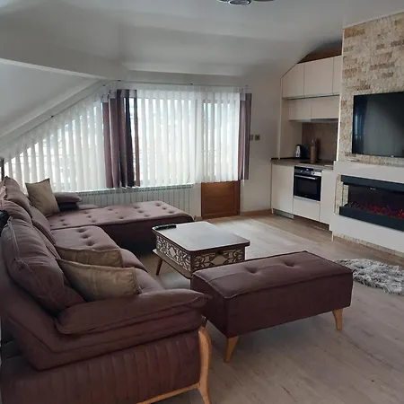 елеганс Dospat