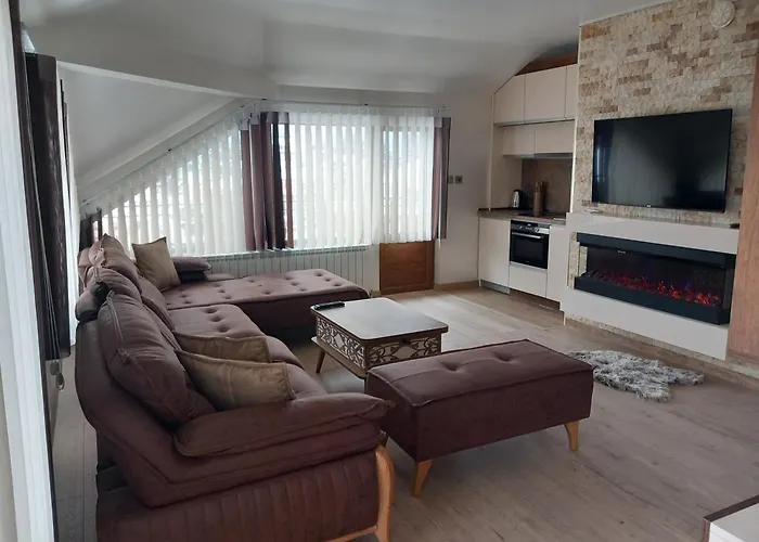 елеганс Dospat