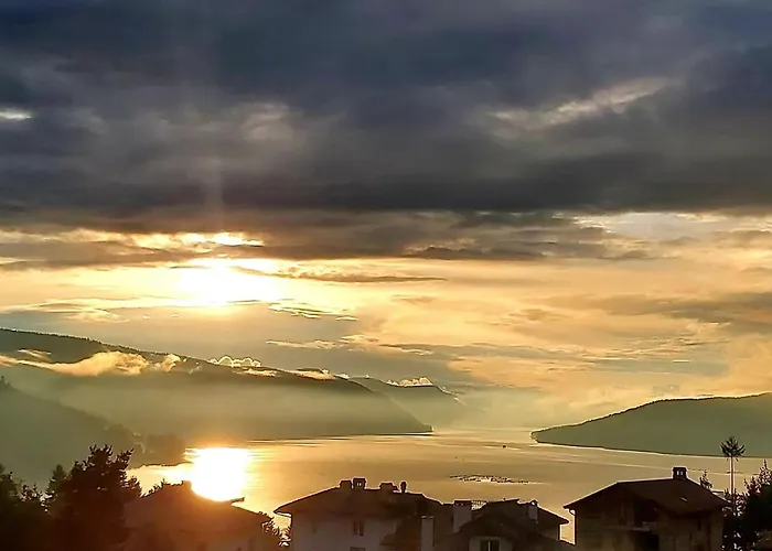 елеганс Dospat